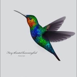 Meet your Posher, Gaye